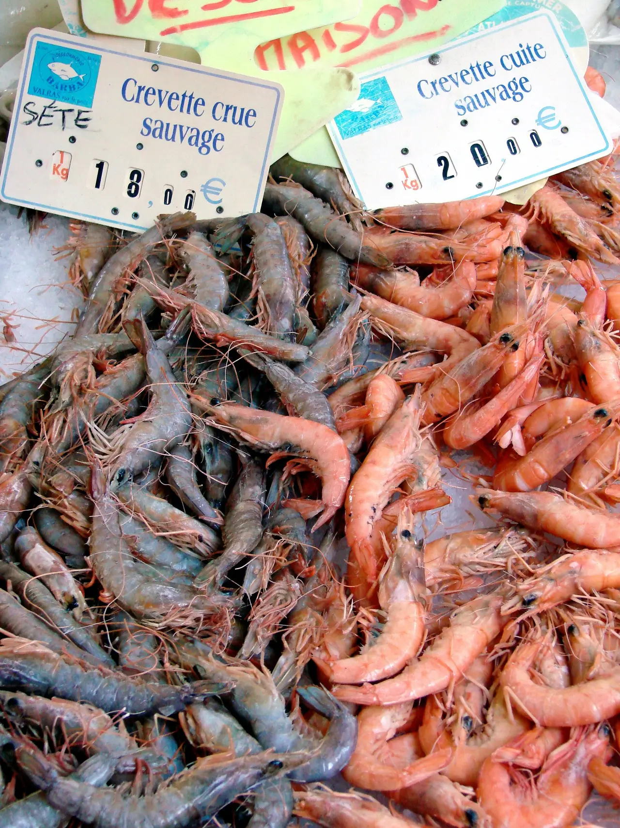 Gambas crues